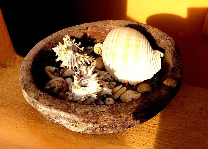 Espuma - Adults Only Zihuatanejo